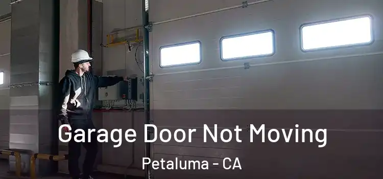  Garage Door Not Moving Petaluma - CA