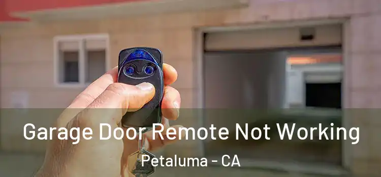 Garage Door Remote Not Working Petaluma - CA