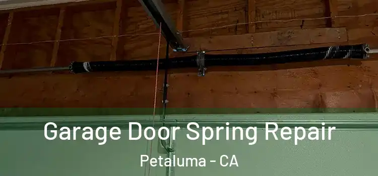  Garage Door Spring Repair Petaluma - CA