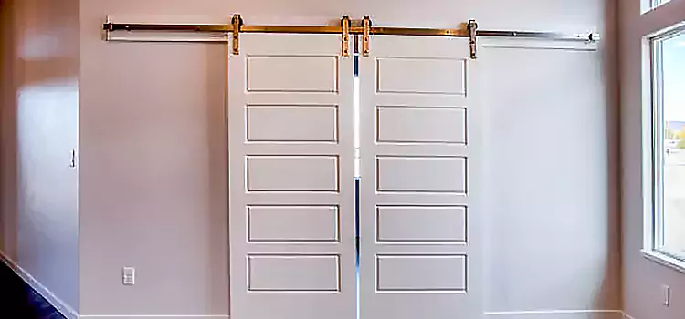 Glass Barn Door with Installation Hardware Kit Petaluma