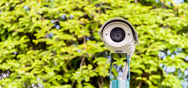Advanced Surveillance Solutions for Every Need in Petaluma