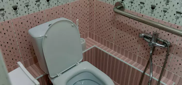 Meeting Diverse Needs With Accessible Restroom Solutions in Petaluma, CA