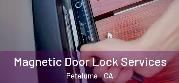 Magnetic Door Lock Services Petaluma - CA
